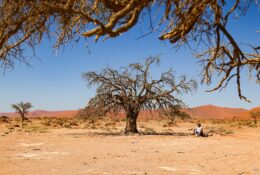 Namibia_April_2025 (26/79)